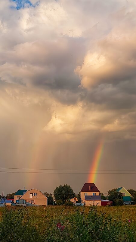 После дождя - Оксана Н.