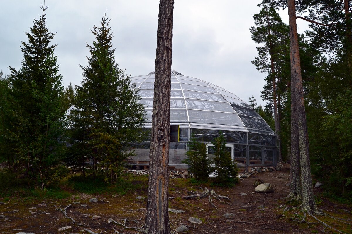 Купол над Петроглифами на Каменном острове - Ольга 