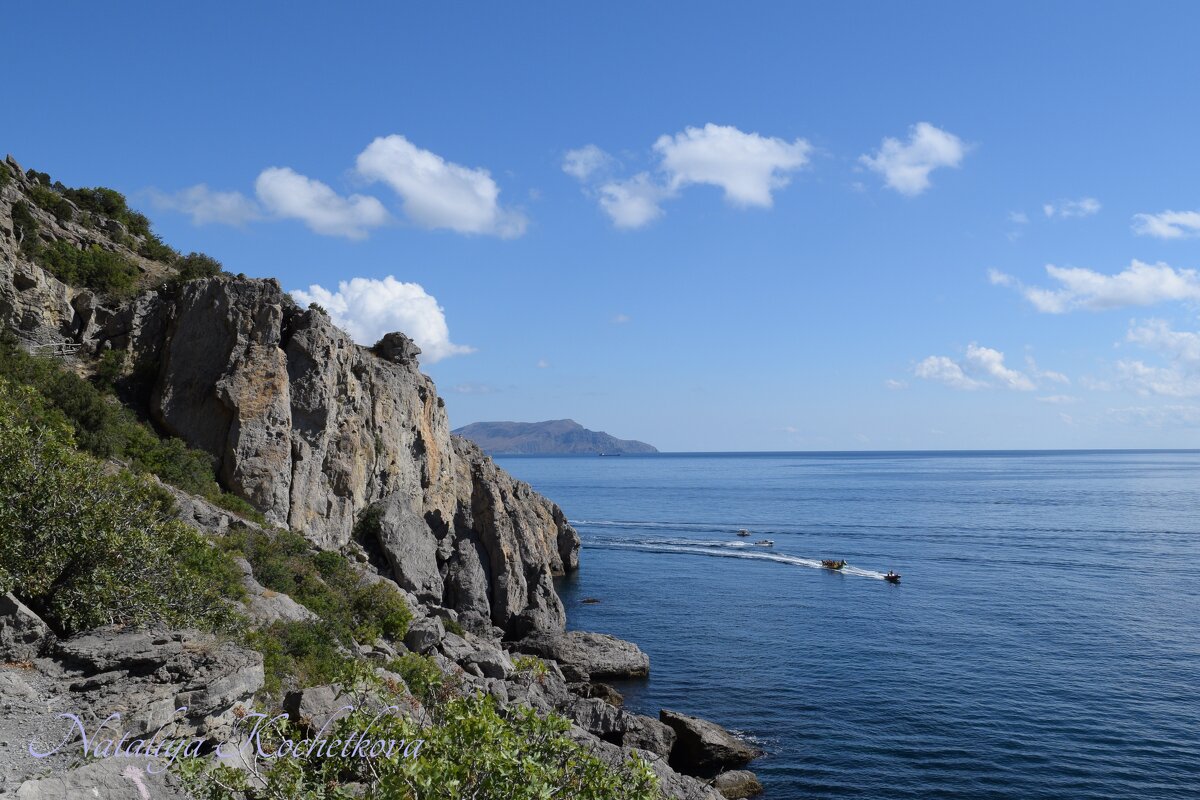 Природа Крыма - Amazing Cosmea