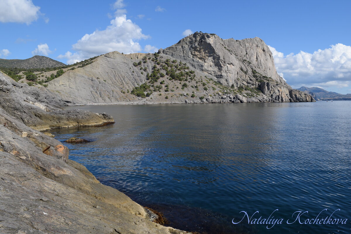 Природа Крыма - Amazing Cosmea