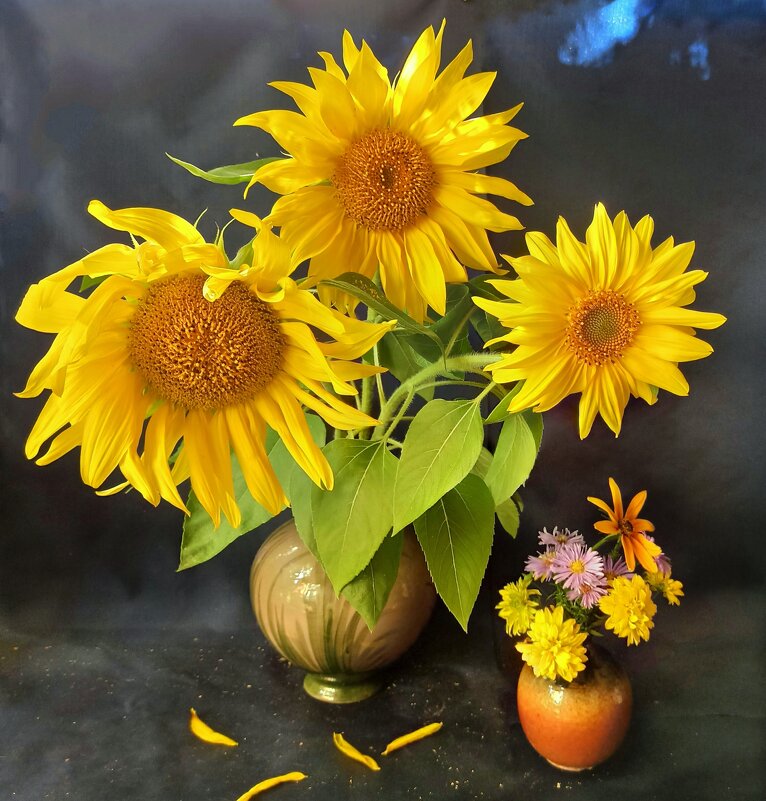 Лето катится к сентябрю... - veilins veilins