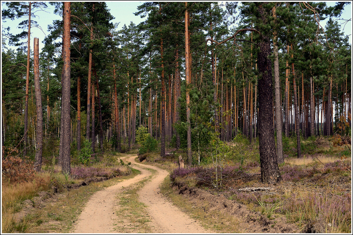 *** - Aleksandr Gal *** - Aleksandr Gal