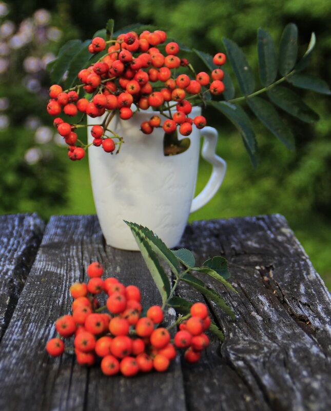 Композиция с веточками рябины.. - Татьян@ Ивановна Композиция с веточками рябины.. - Татьян@ Ивановна