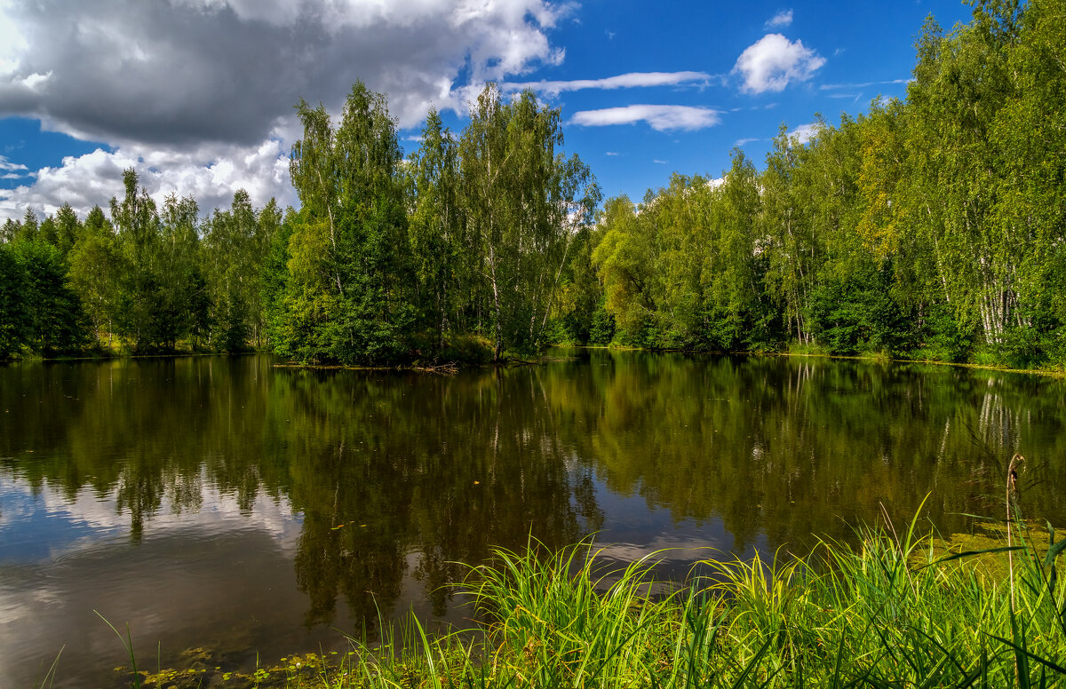 Вторая половина Августа 14 - Андрей Дворников