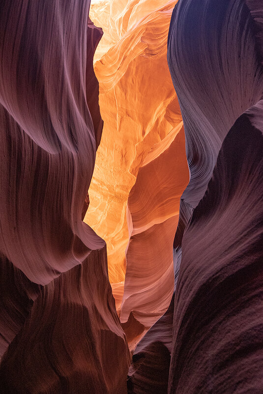 Линии ;-) - Алексей Пышненко