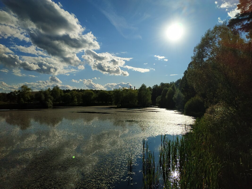 Лета - на донышке :-( - Андрей Лукьянов