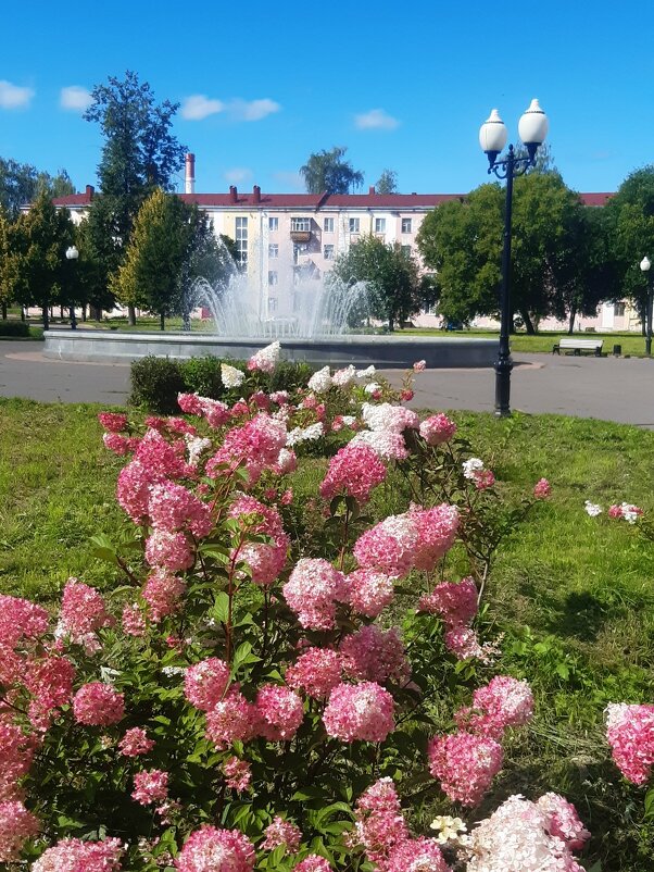 В летнем парке! - Нина Андронова