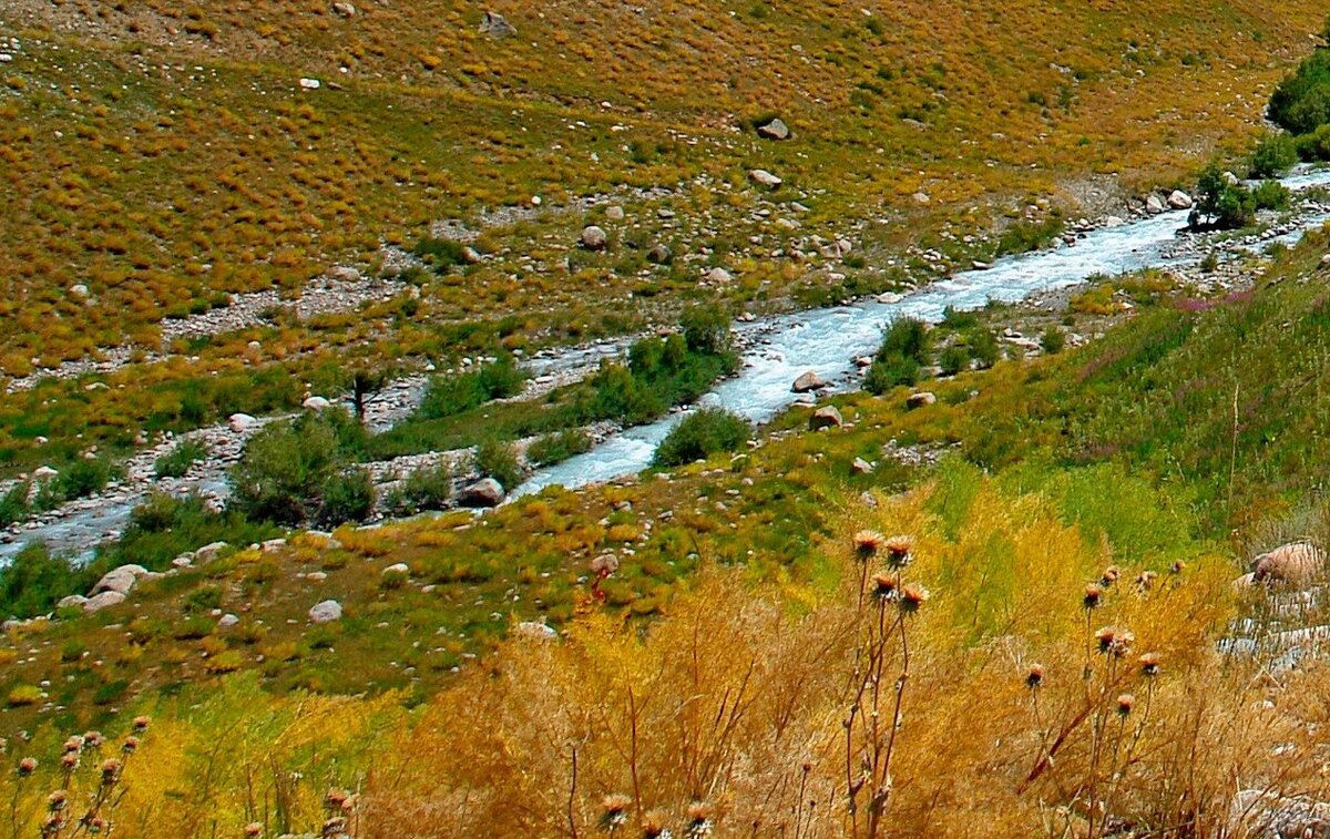ДОЛИНА ОЙГАИНГА. - Виктор Осипчук