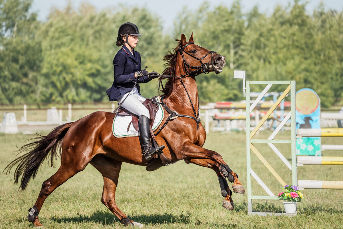 Конкур - SanSan 