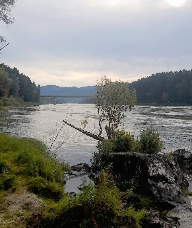 Катуньский берег возле базы отдыха "Сердце Алтая " - Мила Бовкун