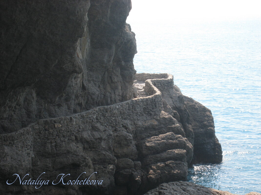 Природа Крыма - Amazing Cosmea