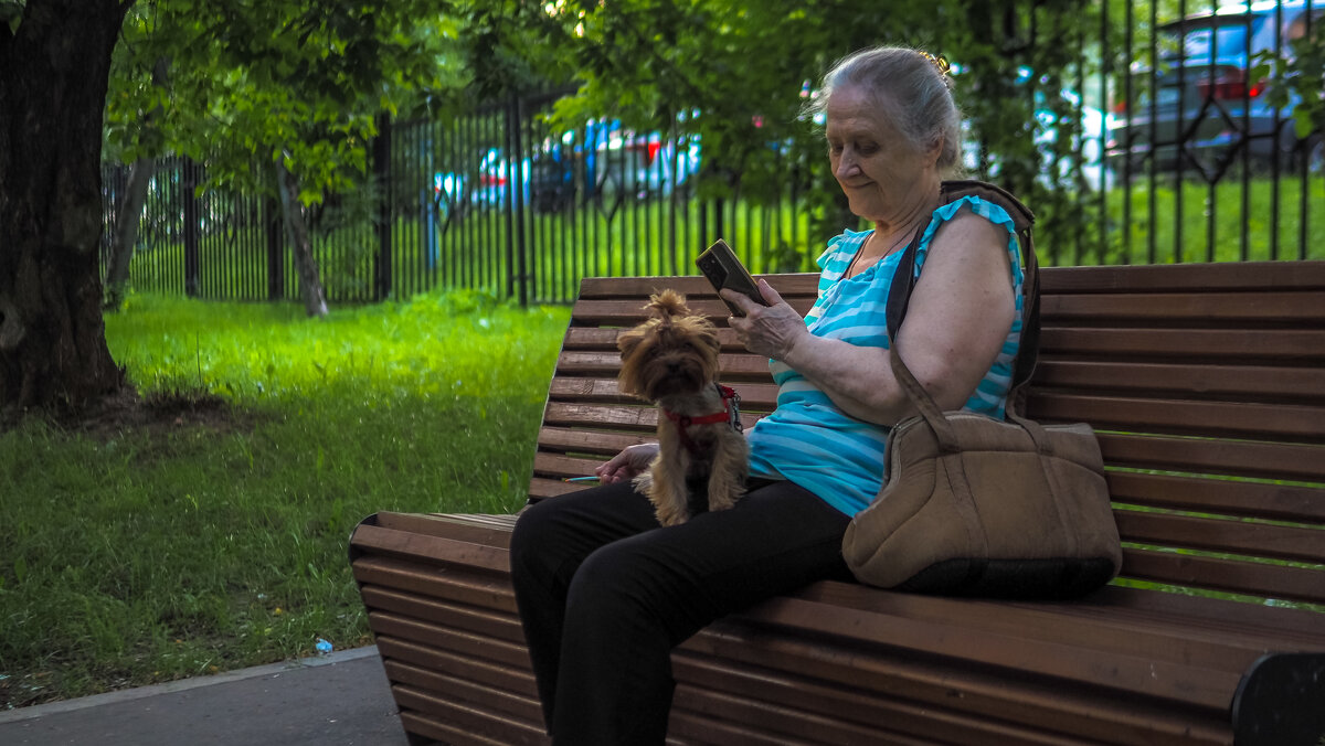 ***** - юрий поляков ***** - юрий поляков