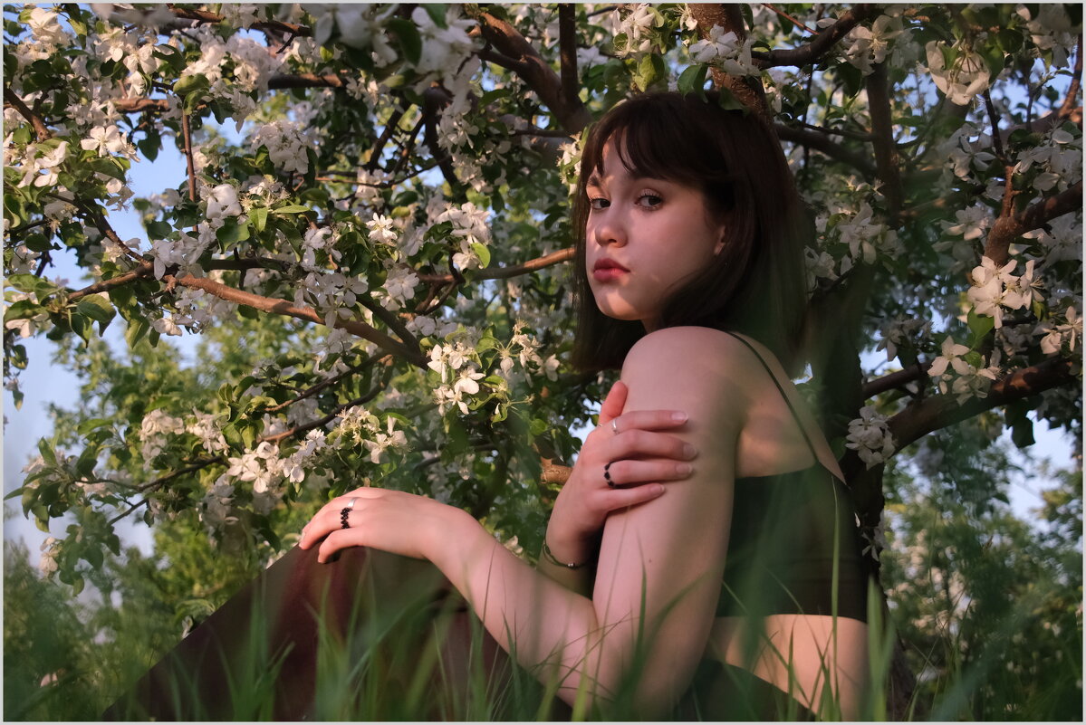 Кира под цветущей ранеткой - Алексей Хвастунов