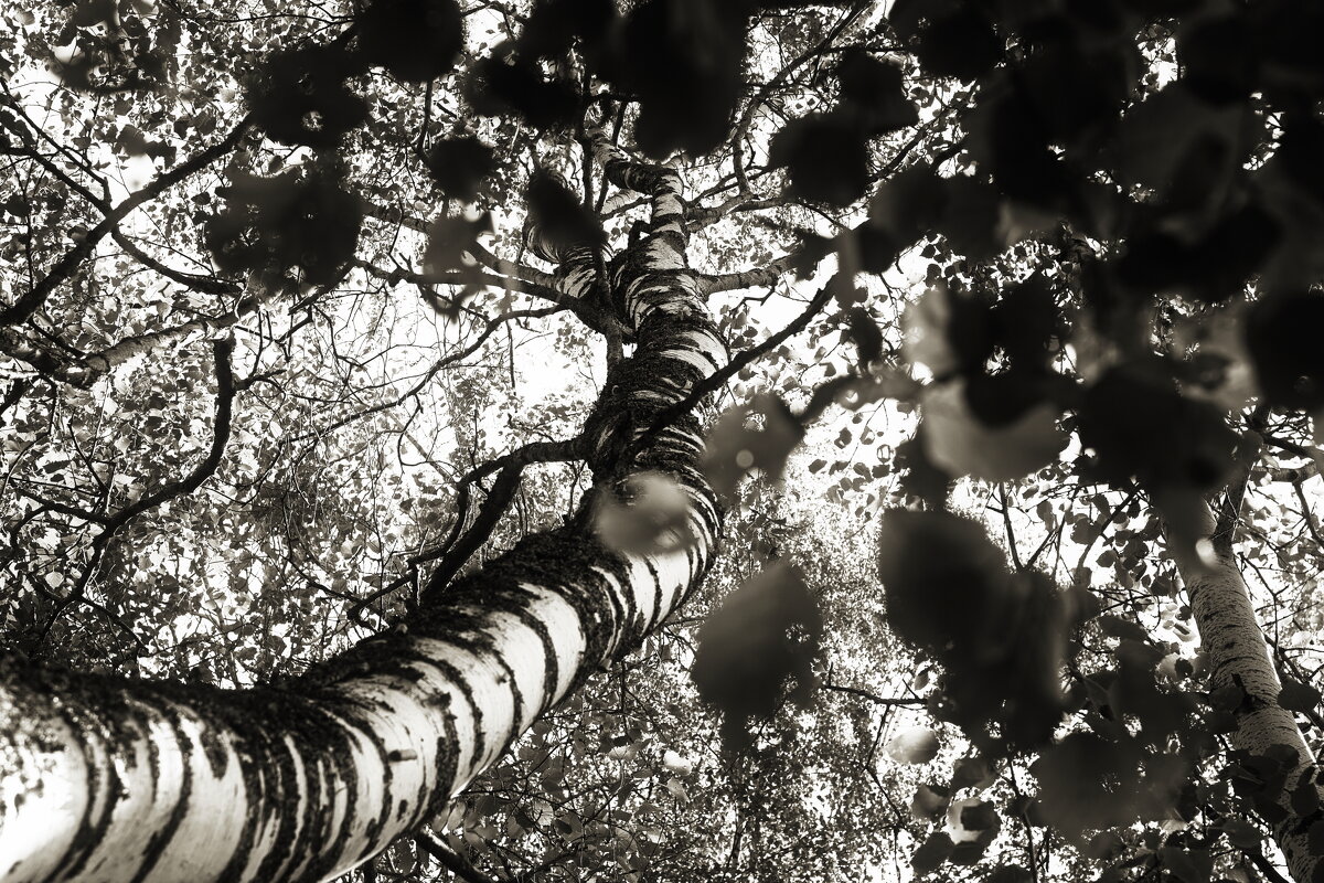 Назва. отсу. - Денис Безногов