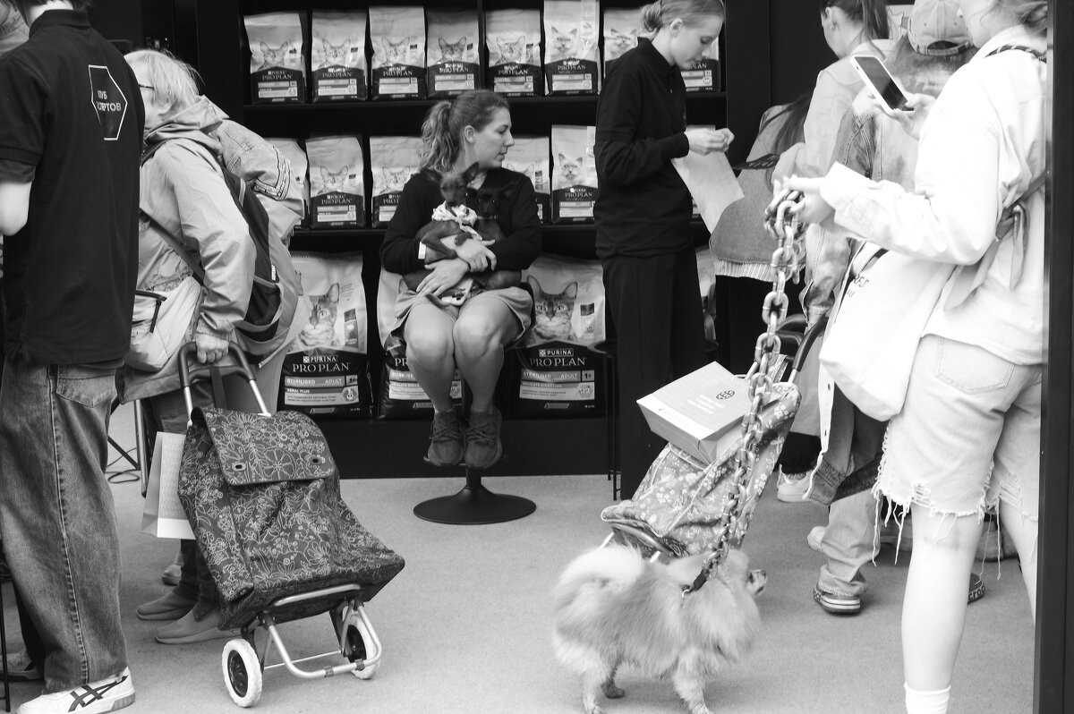 .... - Юрий Самсонов