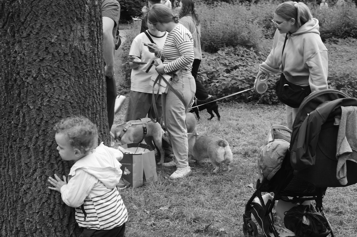 .... - Юрий Самсонов