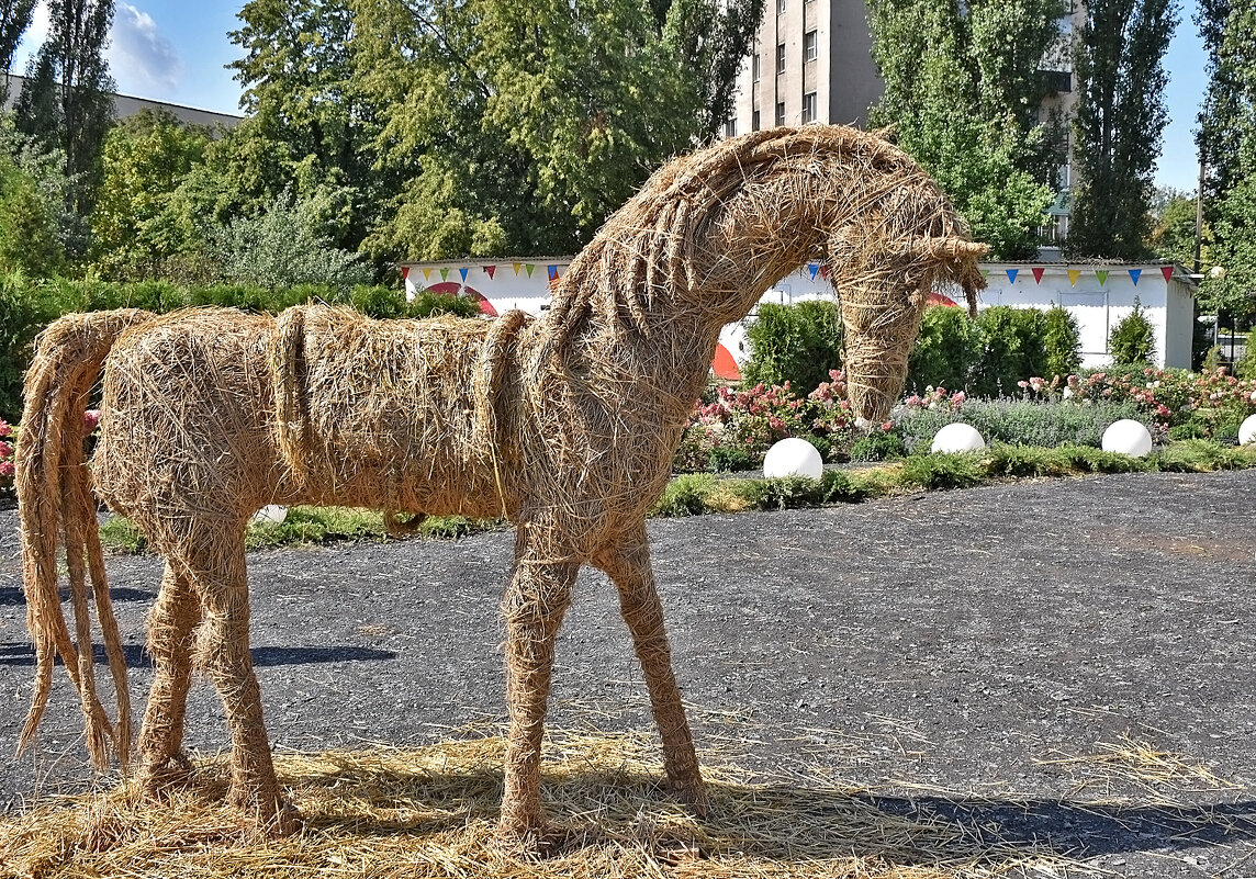 Жаль, нельзя прокатиться!.. - Валентина  Нефёдова 