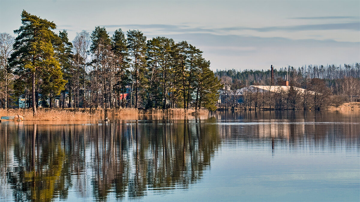 Жизнь под покровом природы - Alexandеr P