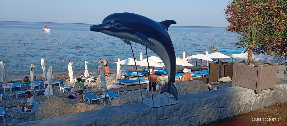 Дельфинчик - Serega SchütZ