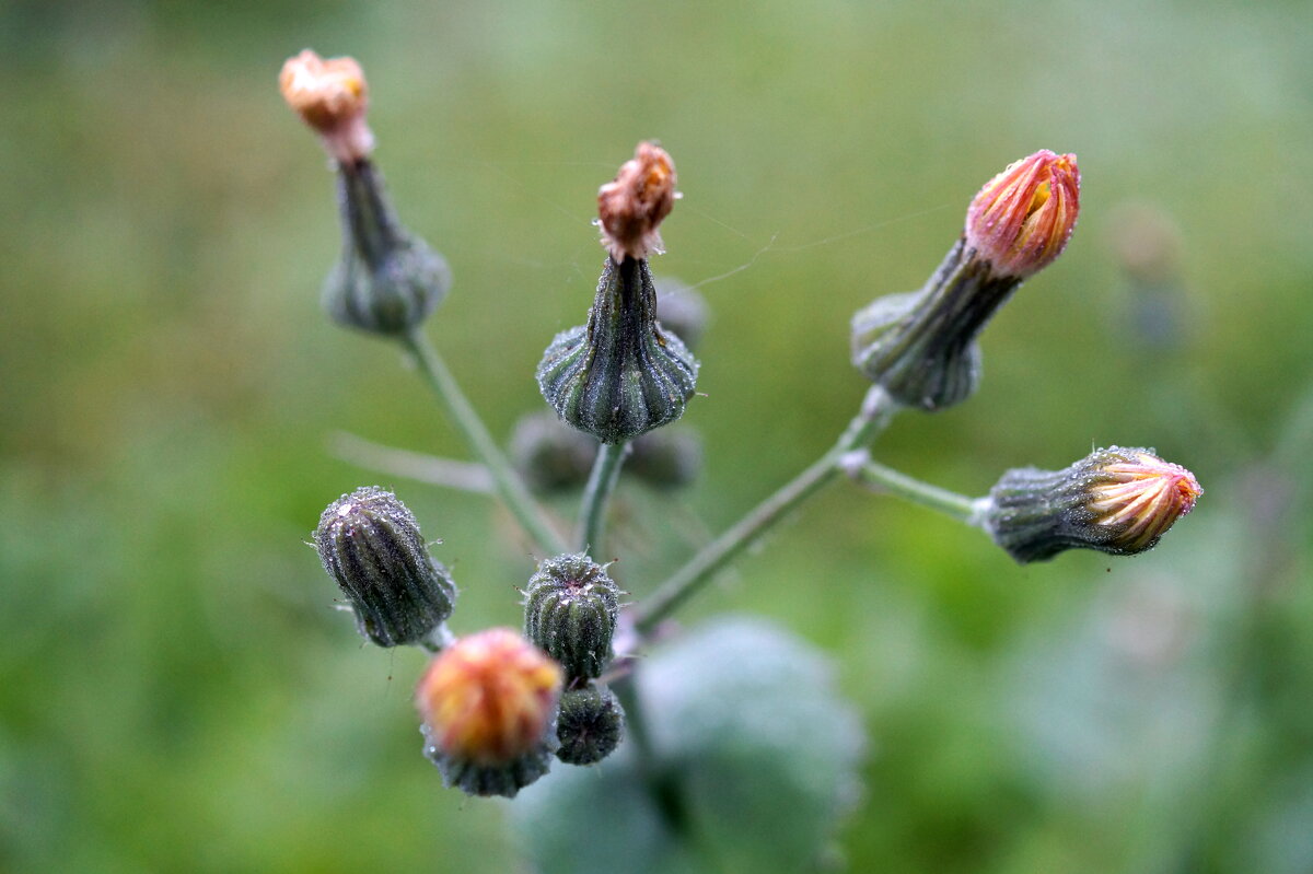 ... - Андрей Катков