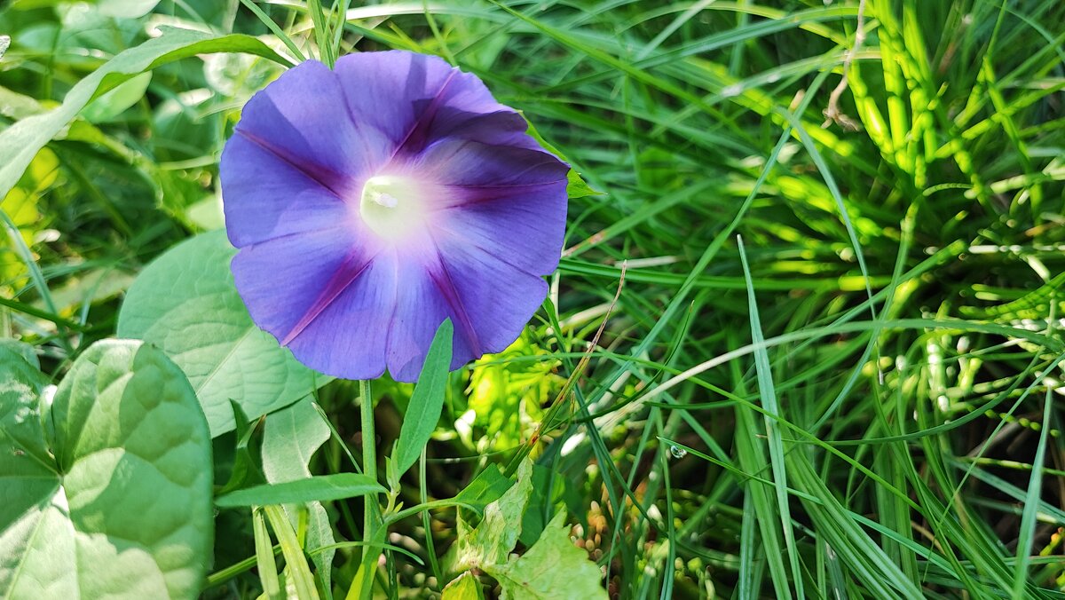 ,,, - Сергей Тимоновский