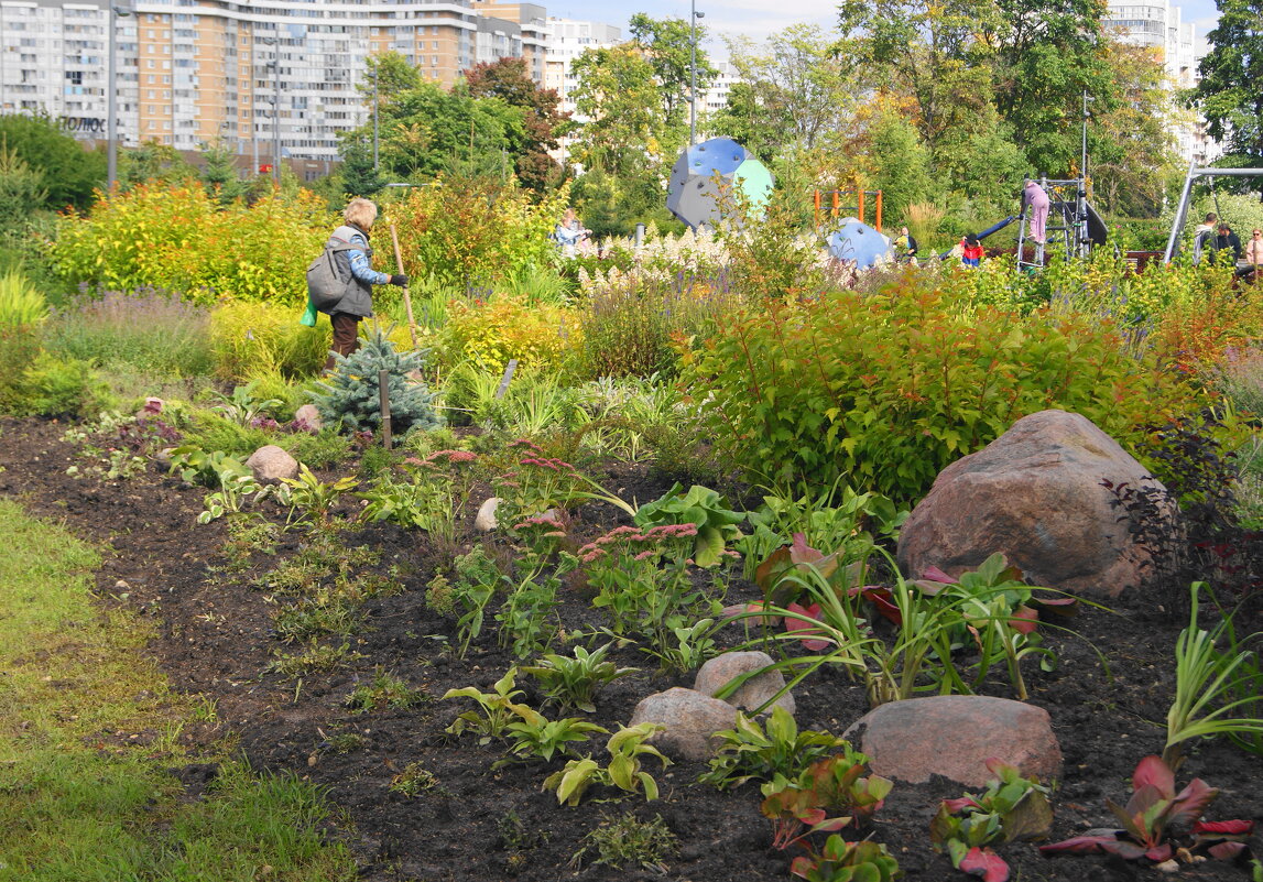 ОСЕННИЕ ХЛОПОТЫ. - Виктор Никитенко ОСЕННИЕ ХЛОПОТЫ. - Виктор Никитенко