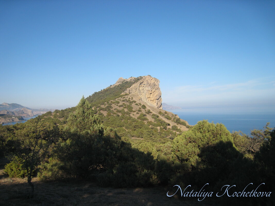 Природа Крыма - Amazing Cosmea