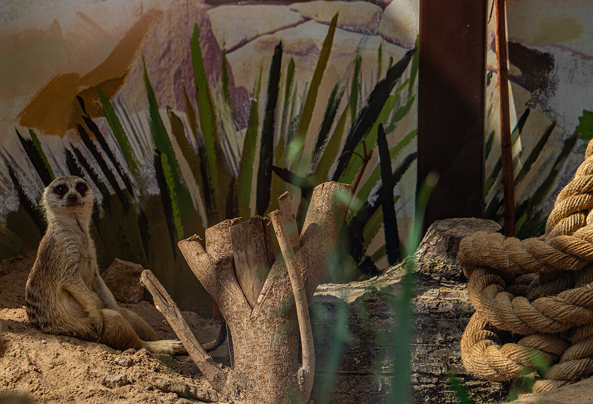 Посидим.... - Ирина Соловьёва