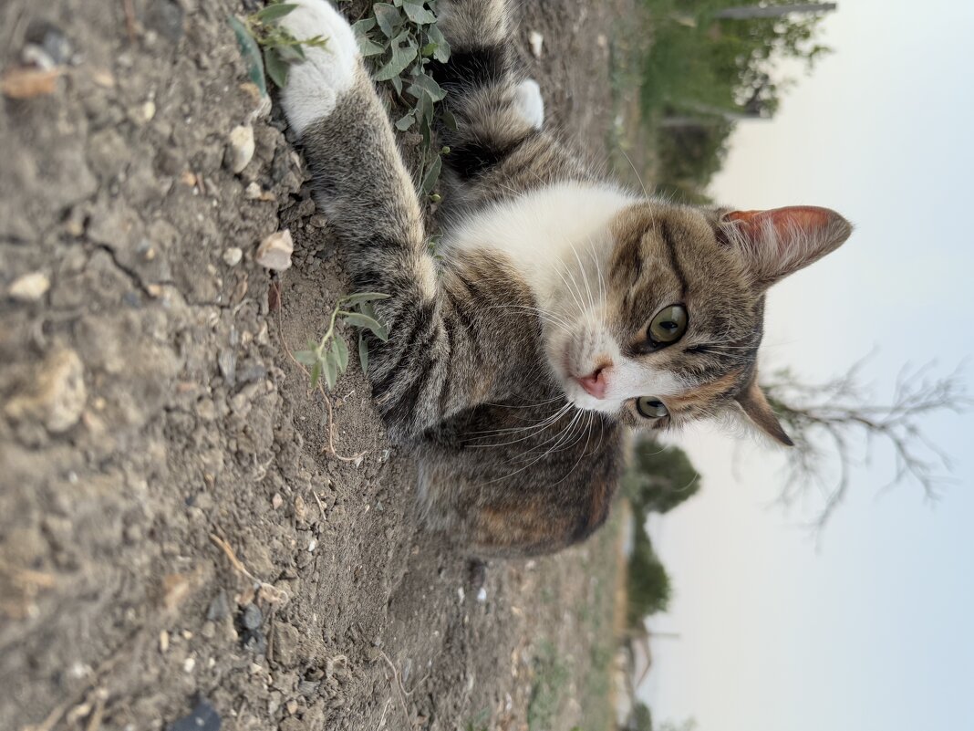 Маруся - Валентина .