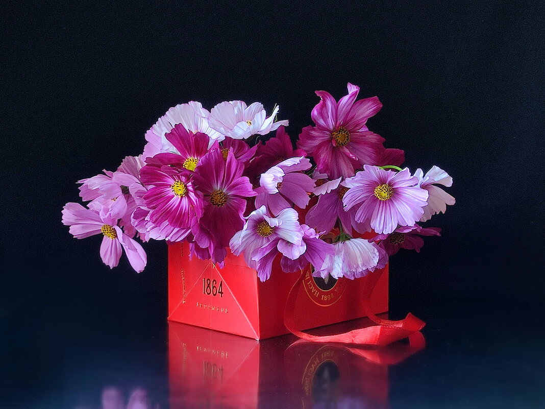 Космея - Валентина Богатко 