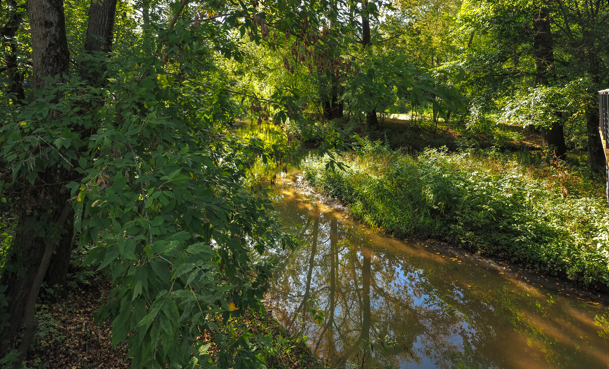 У Тихой Воды - юрий поляков