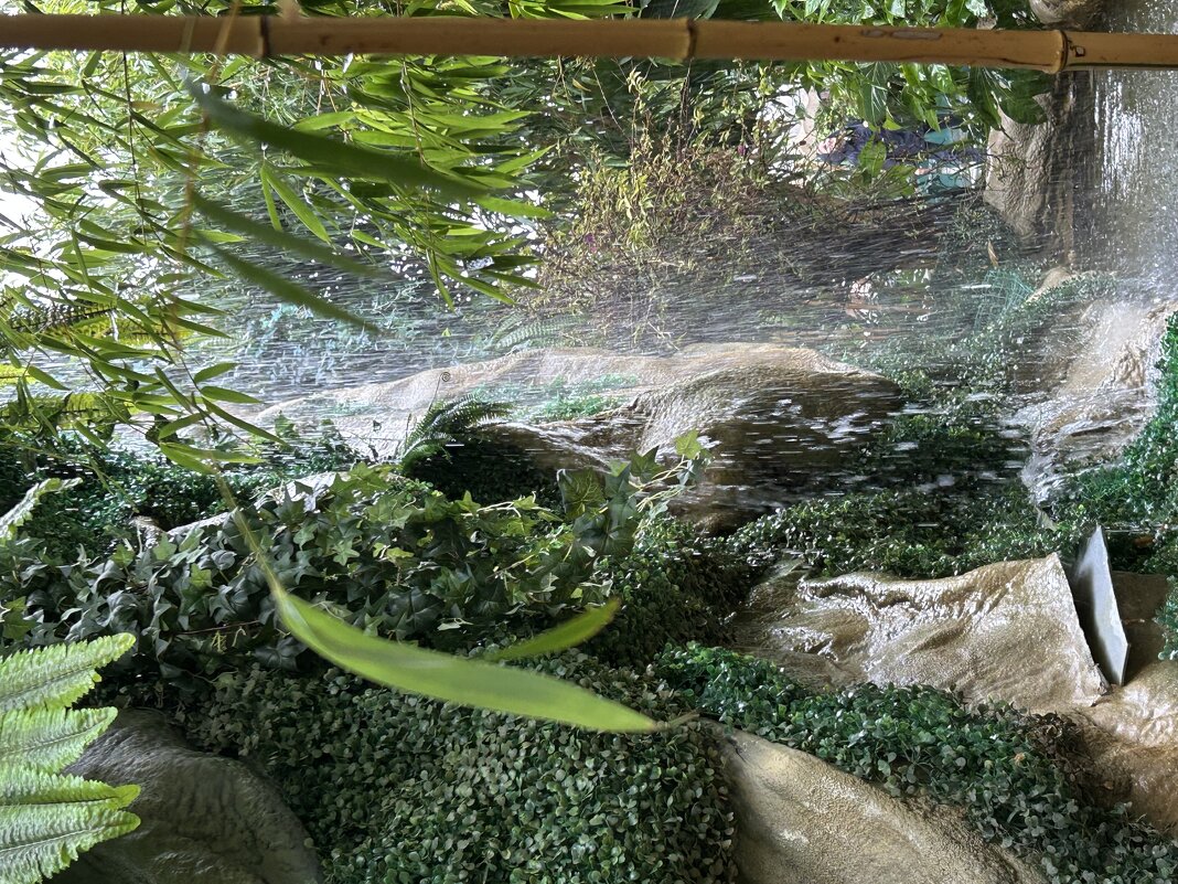 Тропики в центре Москвы - Натали 