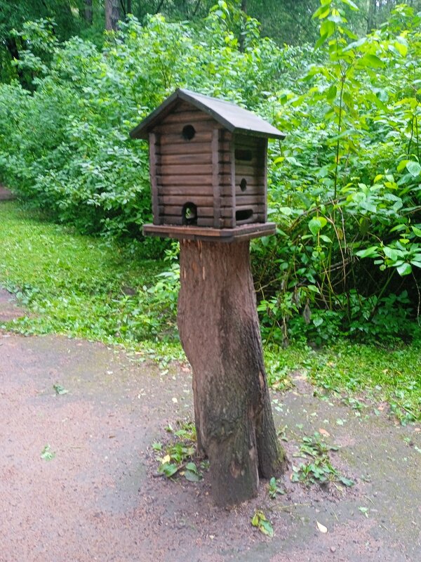 Кормушка "Избушка" в парке Елагина острова в Санкт-Петербурге. - Светлана Калмыкова Калмыкова