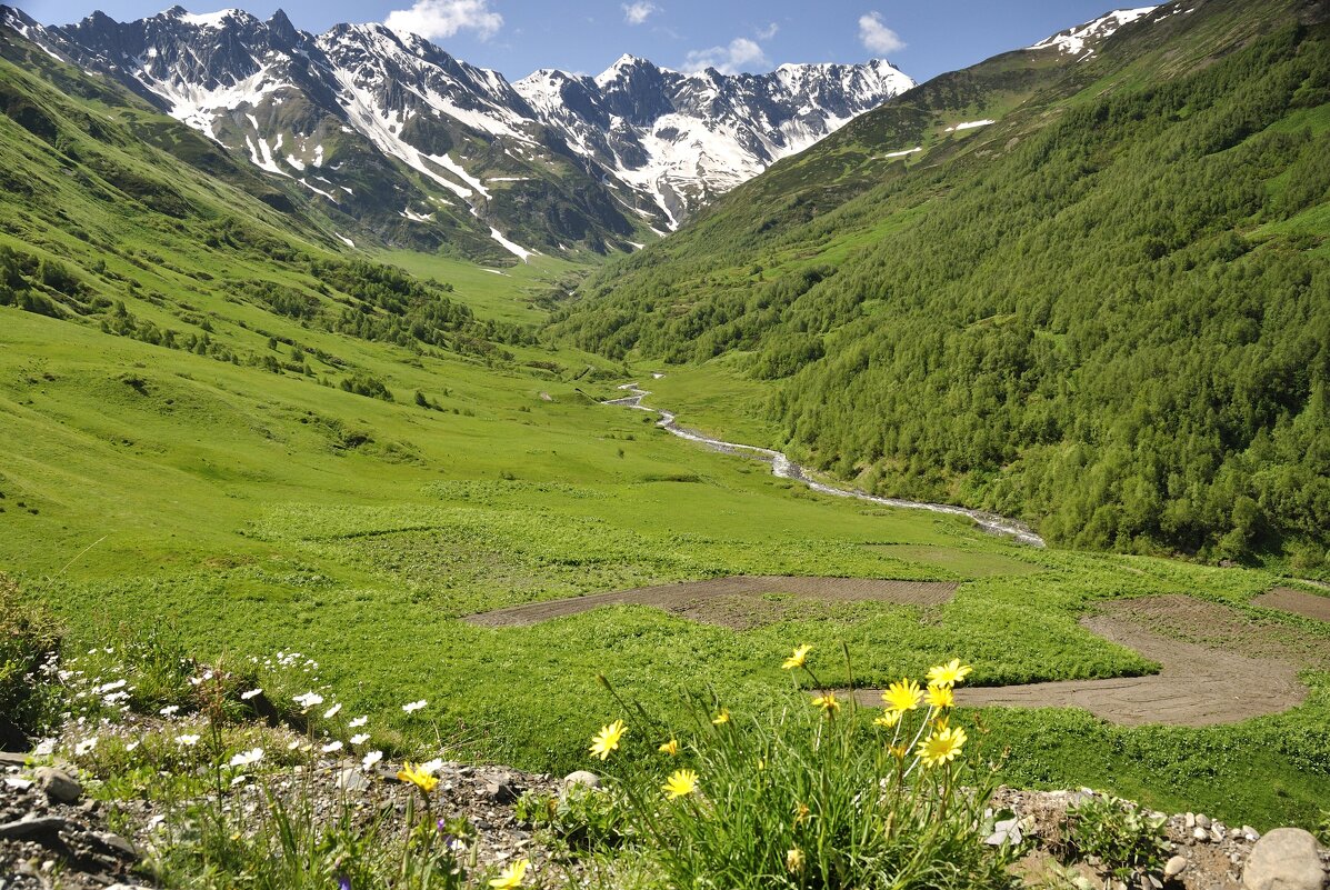 Горная речушка - Марина Виноградова