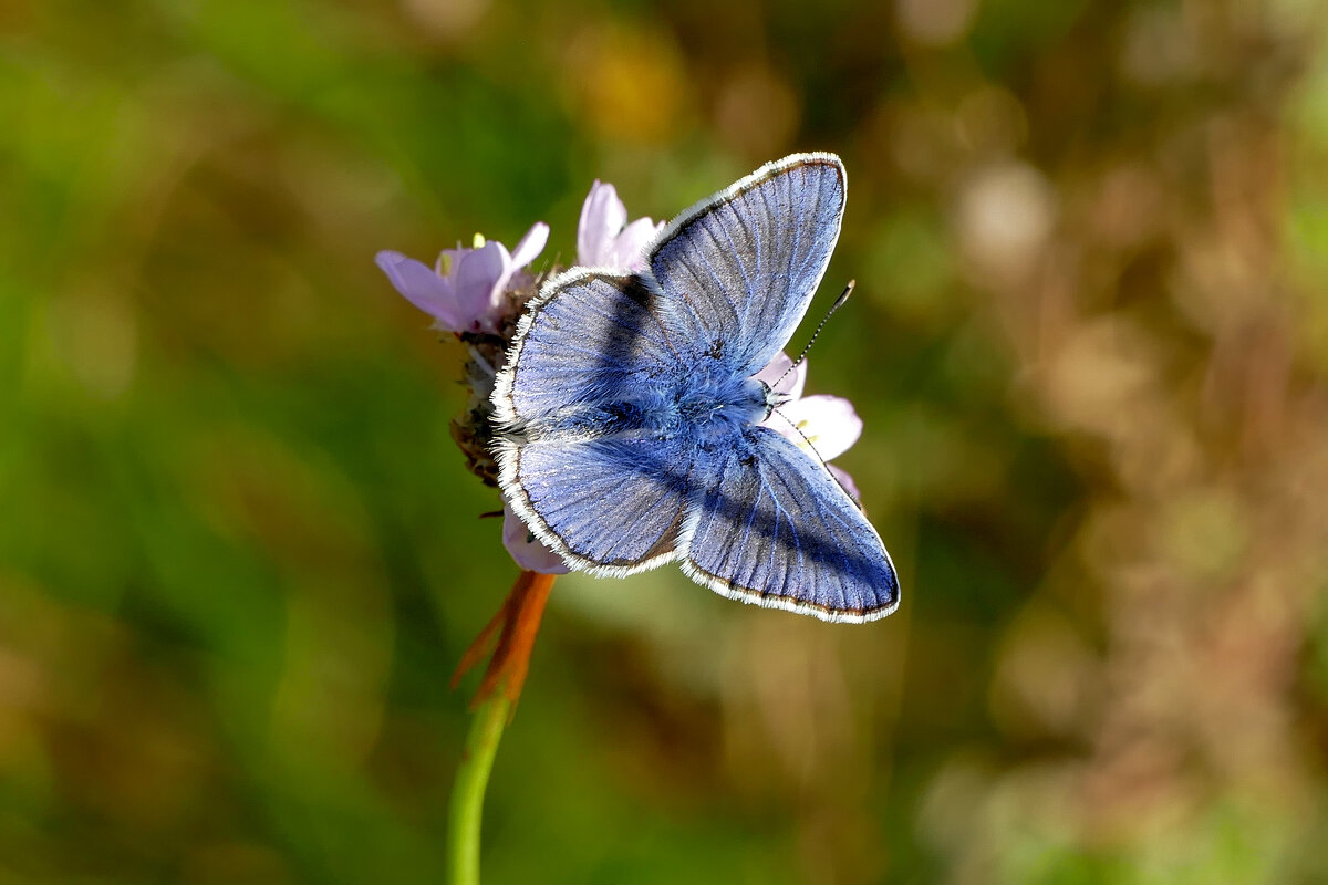 из снятого вчера 4 - Александр Прокудин