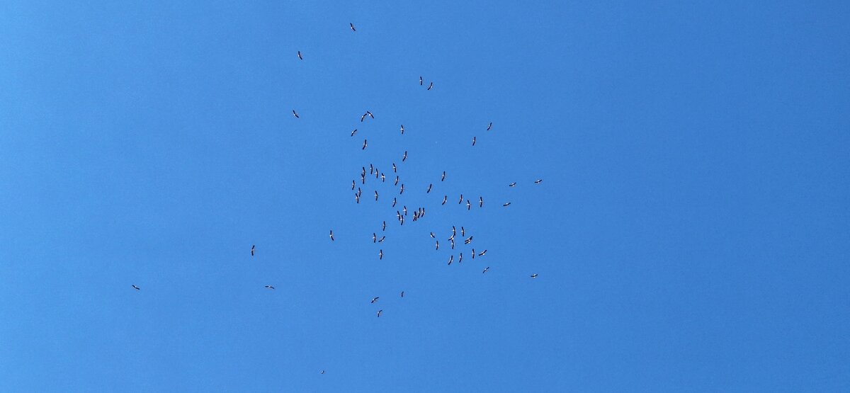 . - Сергей Асташонок