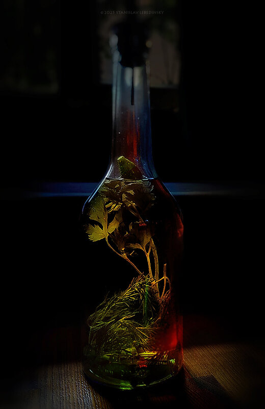 My magic Petersburg_04272 - Станислав Лебединский