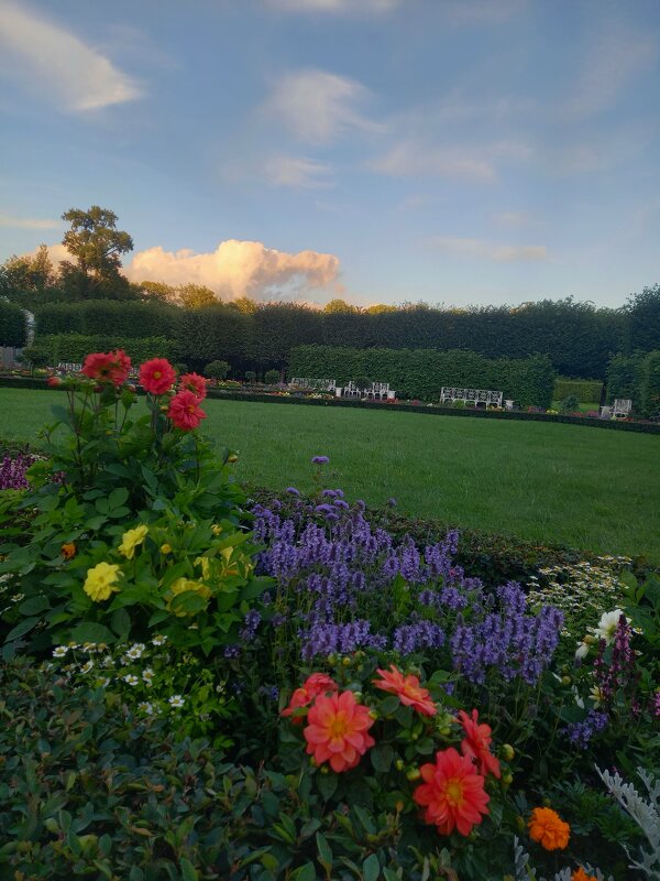 Цветник - Сапсан 