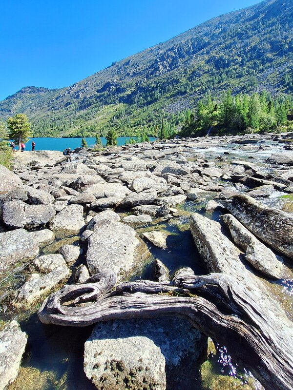 Алтай - Андрей Л. В.