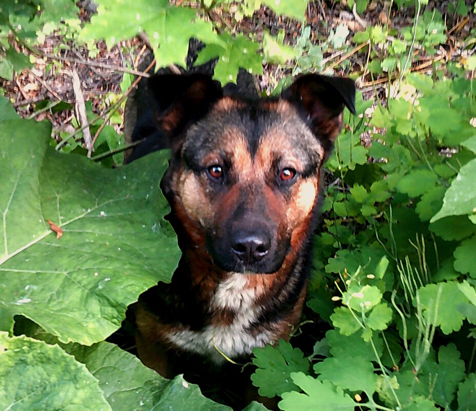 Где я? - Сергей Уткин Где я? - Сергей Уткин