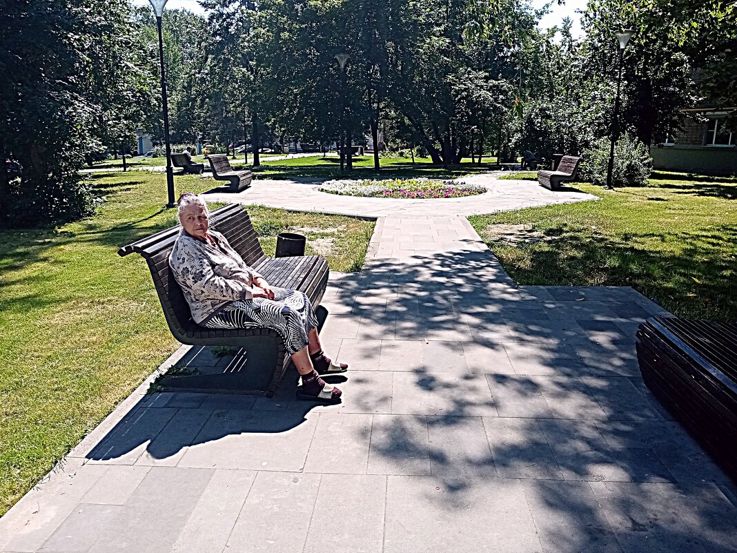 Мой двор. - Владимир Драгунский