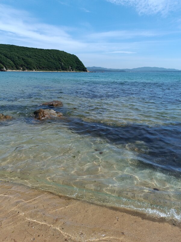 Любимое море - Елена Никитина