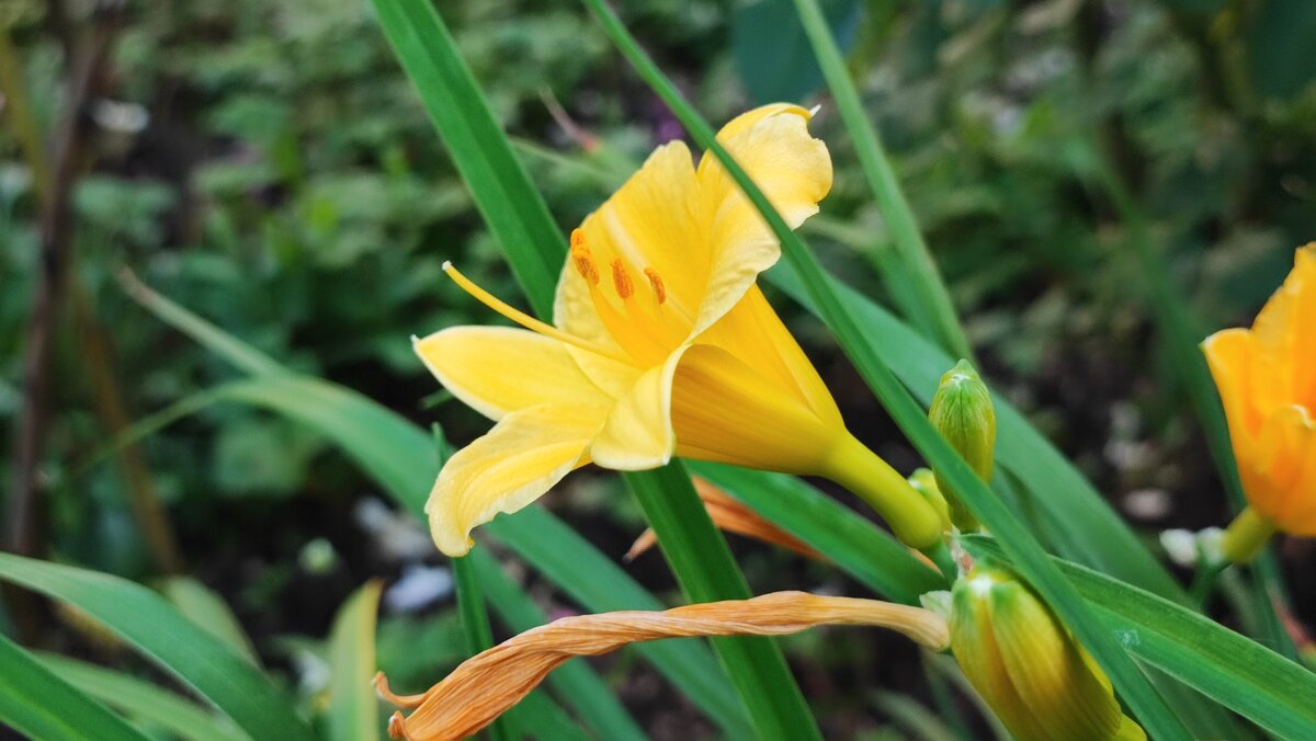 ,,, - Сергей Тимоновский