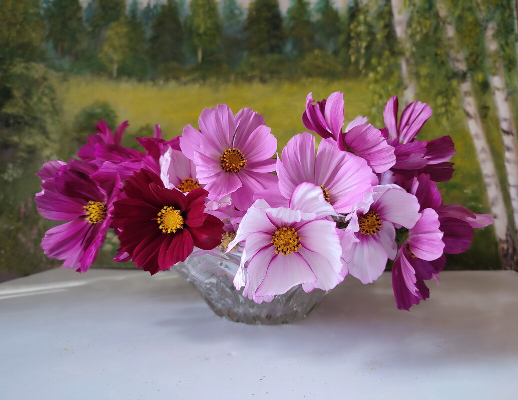 Космеи букетик - Валентина Богатко 