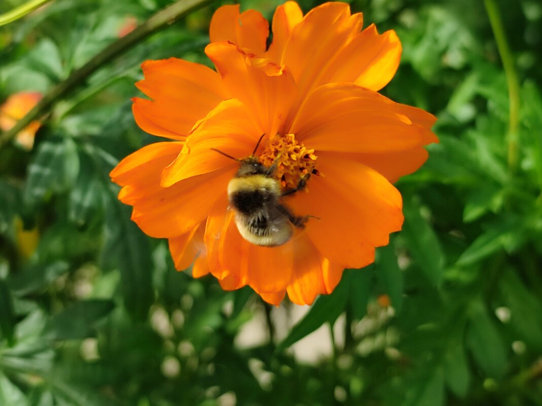 Последние дни лета - Валентина Богатко Последние дни лета - Валентина Богатко