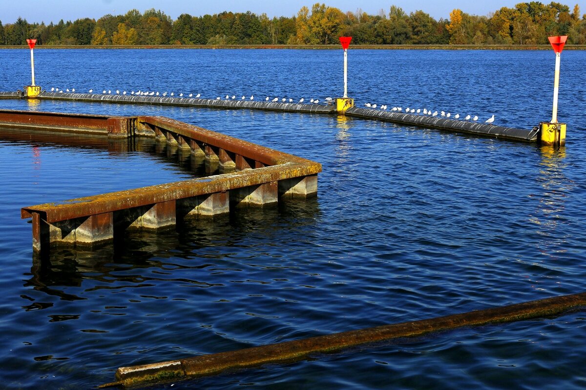 Посиделки - Юрий. Шмаков