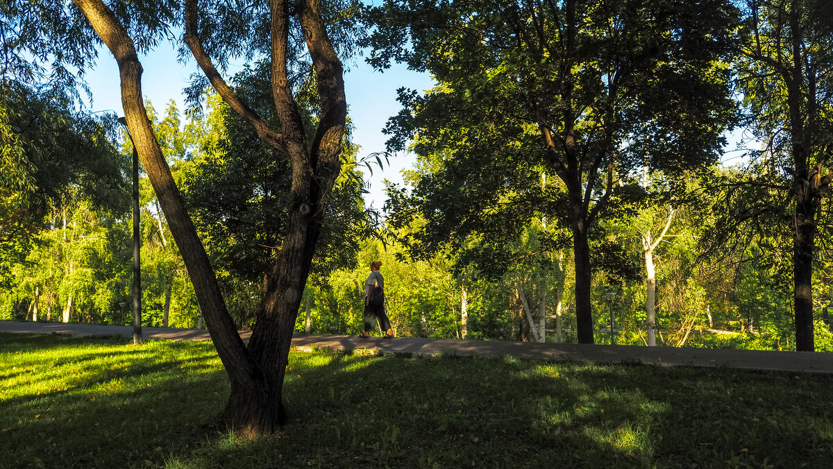 ***** - юрий поляков