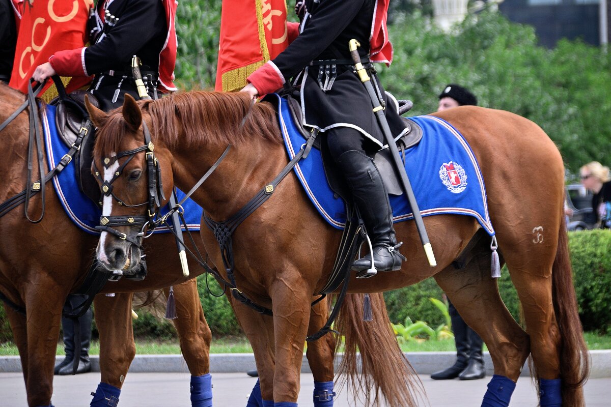 - - Владимир Мигонькин