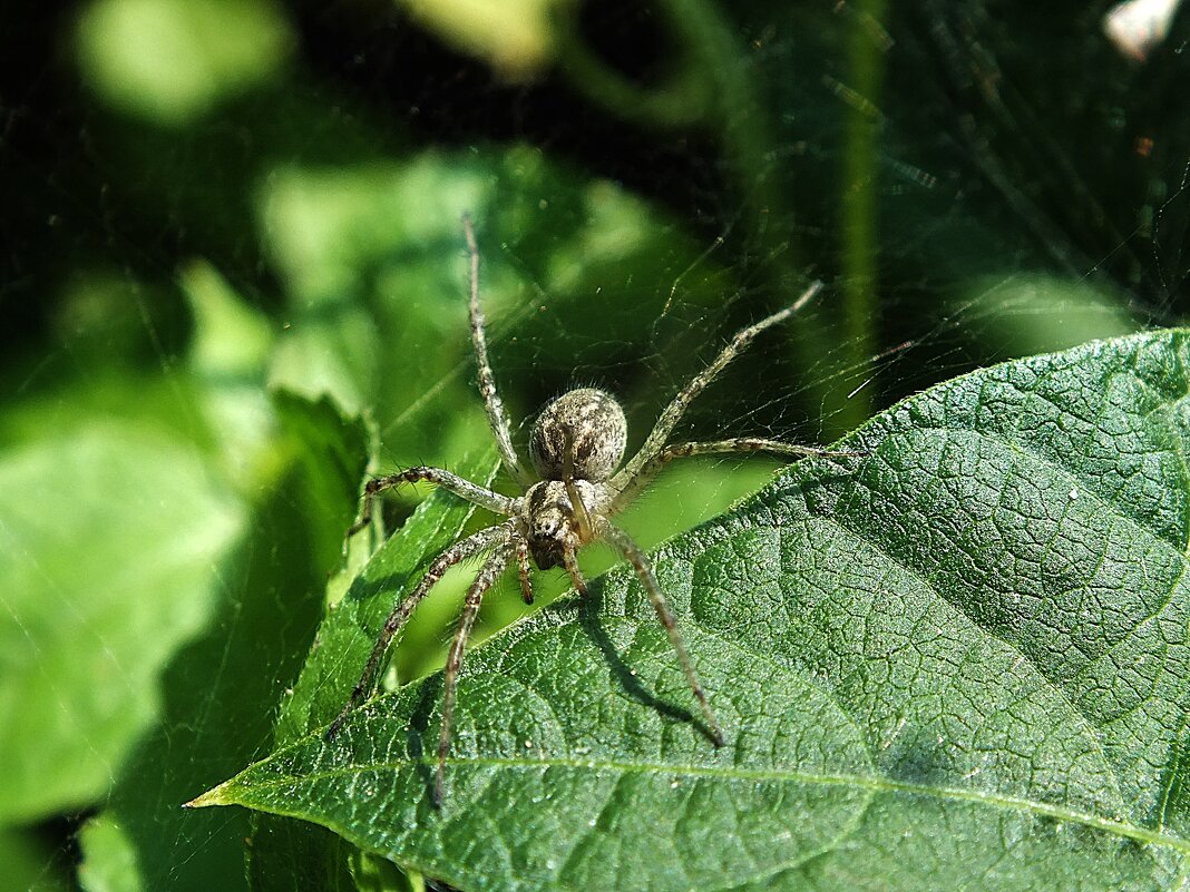 ** - Зоя Мишина