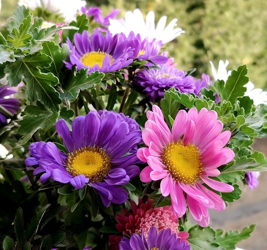 Букет к началу сентября ... - tatyana 